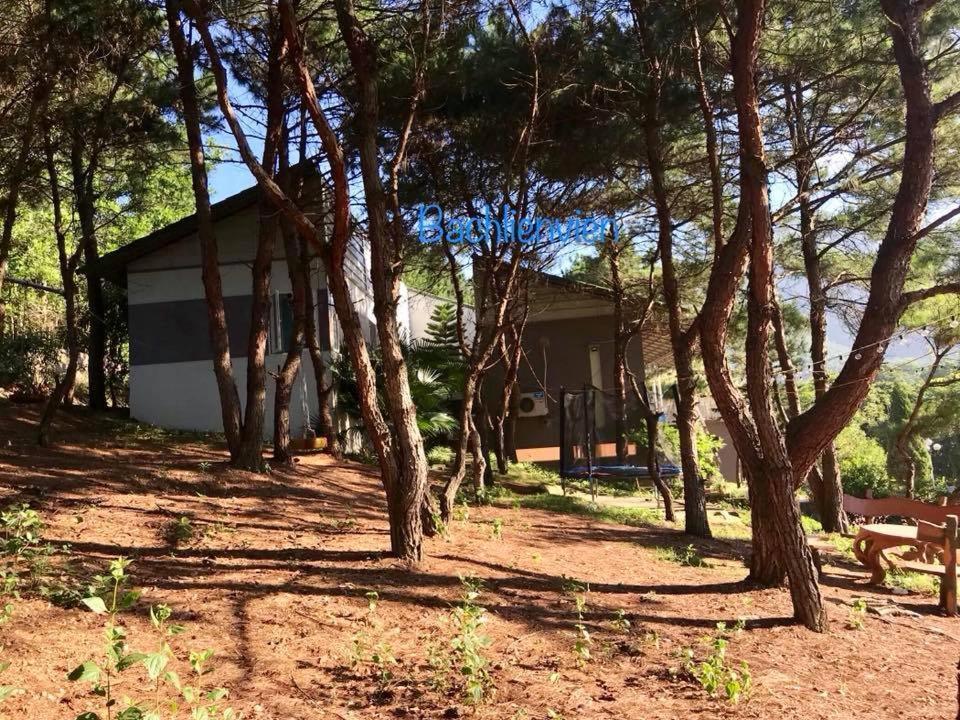 Bachlien Pine Forest Villa Ανόι Εξωτερικό φωτογραφία