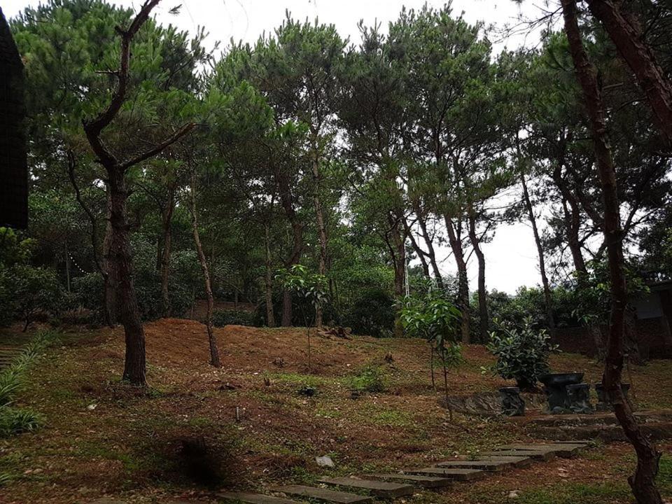 Bachlien Pine Forest Villa Ανόι Εξωτερικό φωτογραφία