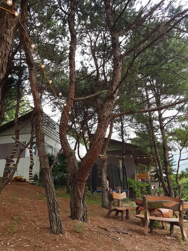 Bachlien Pine Forest Villa Ανόι Εξωτερικό φωτογραφία