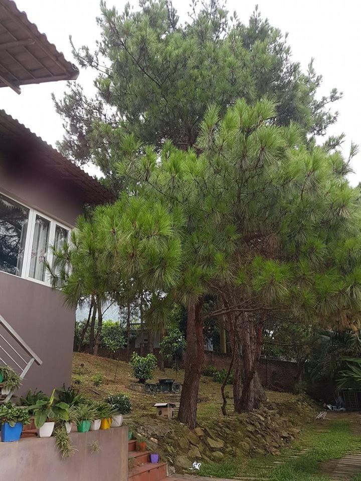 Bachlien Pine Forest Villa Ανόι Εξωτερικό φωτογραφία